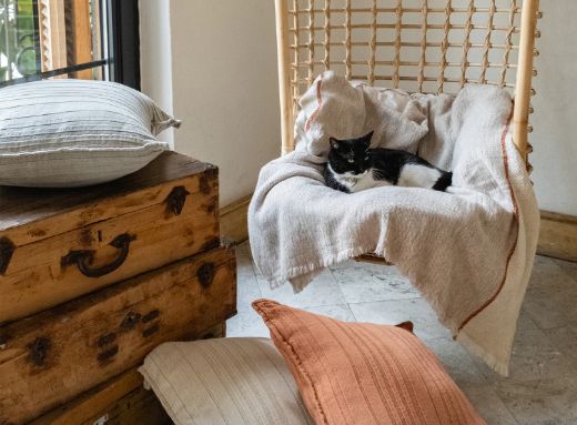 OSCAR KIRLENT TERRA resmi